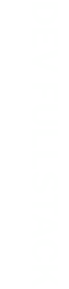 Desenvolvedor Fullstack